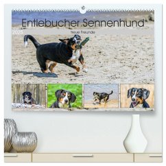 Entlebucher Sennenhund - treue Freunde (hochwertiger Premium Wandkalender 2025 DIN A2 quer), Kunstdruck in Hochglanz