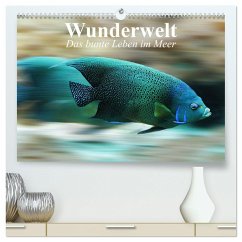 Wunderwelt. Das bunte Leben im Meer (hochwertiger Premium Wandkalender 2025 DIN A2 quer), Kunstdruck in Hochglanz