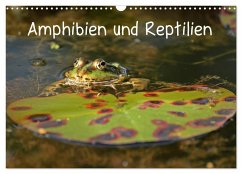 Amphibien und Reptilien (Wandkalender 2025 DIN A3 quer), CALVENDO Monatskalender