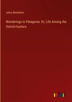 Wanderings in Patagonia. Or, Life Among the Ostrich-hunters - Beerbohm, Julius