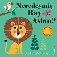 Neredeymis Bay Aslan Ciltli - Kolektif