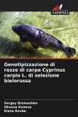 Genotipizzazione di razze di carpa Cyprinus carpio L. di selezione bielorussa