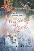The Mystery of Love The Mystery of Love