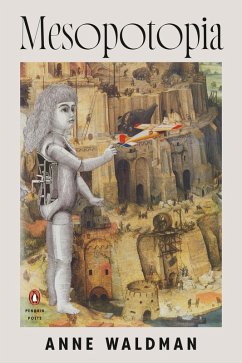 Cover Mesopotopia (eBook, ePUB)