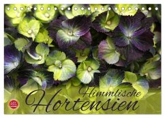 Himmlische Hortensien (Tischkalender 2025 DIN A5 quer), CALVENDO Monatskalender - Calvendo;Cross, Martina