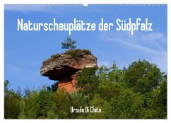 Naturschauplätze der Südpfalz (Wandkalender 2025 DIN A2 quer), CALVENDO Monatskalender