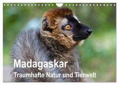 Madagaskar. Traumhafte Natur und Tierwelt (Wandkalender 2025 DIN A4 quer), CALVENDO Monatskalender - Calvendo;Reuke, Sabine