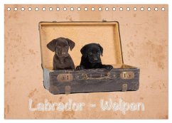 Labrador - Welpen (Tischkalender 2025 DIN A5 quer), CALVENDO Monatskalender - Calvendo;Eschrich -HeschFoto, Heiko