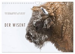 Emotionale Momente: Der Wisent. (Wandkalender 2025 DIN A4 quer), CALVENDO Monatskalender - Calvendo;Gerlach, Ingo