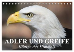 Adler und Greife - Könige des Himmels (Tischkalender 2025 DIN A5 quer), CALVENDO Monatskalender - Calvendo;Stanzer, Elisabeth