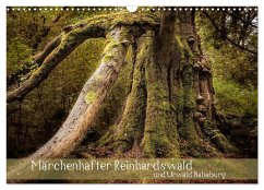 Märchenhafter Reinhardswald und Urwald Sababurg (Wandkalender 2025 DIN A3 quer), CALVENDO Monatskalender - Calvendo;Pohl, Michael
