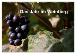 Das Jahr im Weinberg (Wandkalender 2025 DIN A2 quer), CALVENDO Monatskalender