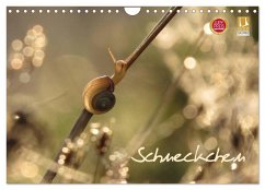 Schneckchen (Wandkalender 2025 DIN A4 quer), CALVENDO Monatskalender