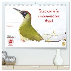 Steckbriefe einheimischer Vögel (hochwertiger Premium Wandkalender 2025 DIN A2 quer), Kunstdruck in Hochglanz - Calvendo;Feske, Klaus