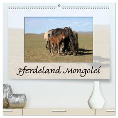 Pferdeland Mongolei (hochwertiger Premium Wandkalender 2025 DIN A2 quer), Kunstdruck in Hochglanz - Calvendo;Beuck, AJ