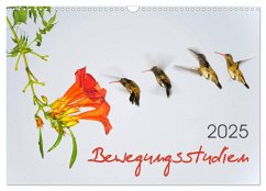 Bewegungsstudien (Wandkalender 2025 DIN A3 quer), CALVENDO Monatskalender