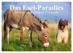 Das Esel-Paradies - Hunde und andere Feunde (Wandkalender 2025 DIN A2 quer), CALVENDO Monatskalender