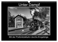 Unter Dampf - Mit der Preßnitztalbahn durchs Erzgebirge (Wandkalender 2025 DIN A3 quer), CALVENDO Monatskalender