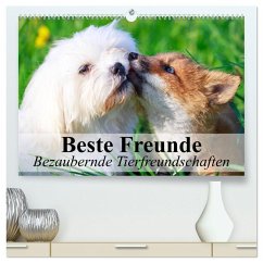 Beste Freunde - Bezaubernde Tierfreundschaften (hochwertiger Premium Wandkalender 2025 DIN A2 quer), Kunstdruck in Hochglanz - Calvendo;Stanzer, Elisabeth