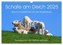 Schafe am Deich 2025. Tierische Impressionen von der Nordseeküste (Wandkalender 2025 DIN A3 quer), CALVENDO Monatskalender - Calvendo;Lehmann, Steffani