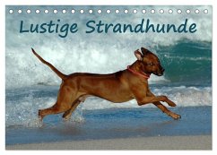 Lustige Strandhunde (Tischkalender 2025 DIN A5 quer), CALVENDO Monatskalender