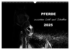 Pferde zwischen Licht und Schatten (Wandkalender 2025 DIN A3 quer), CALVENDO Monatskalender