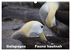 Galapagos. Fauna hautnah (Wandkalender 2025 DIN A3 quer), CALVENDO Monatskalender