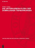 Die Unterkarbon-Flora der Dobrilugker Tiefbohrungen