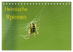 Heimische Spinnen (Tischkalender 2025 DIN A5 quer), CALVENDO Monatskalender - Calvendo;Schäfer, Otto