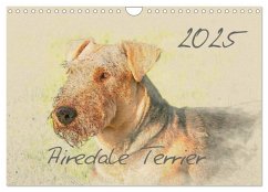 Airedale Terrier 2025 (Wandkalender 2025 DIN A4 quer), CALVENDO Monatskalender - Calvendo;Redecker, Andrea