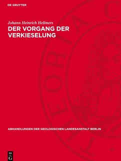 Cover Der Vorgang der Verkieselung