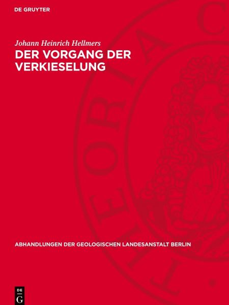 Der Vorgang der Verkieselung