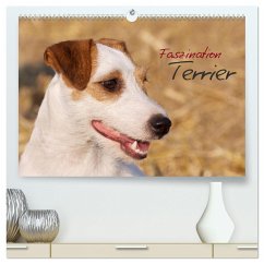 Faszination Terrier (hochwertiger Premium Wandkalender 2025 DIN A2 quer), Kunstdruck in Hochglanz - Calvendo;Gerlach, Nadine