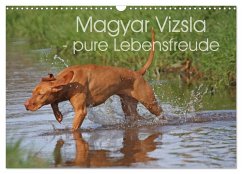 Magyar Vizsla - pure Lebensfreude (Wandkalender 2025 DIN A3 quer), CALVENDO Monatskalender