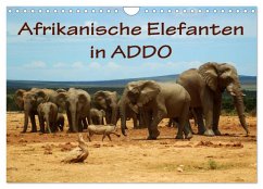 Afrikanische Elefanten in ADDO (Wandkalender 2025 DIN A4 quer), CALVENDO Monatskalender - Calvendo;van Wyk, Anke