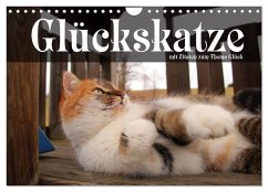 Glückskatze - Mit Zitaten zum Thema Glück (Wandkalender 2025 DIN A4 quer), CALVENDO Monatskalender