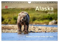 Alaska 2025 Wildes Land am Ende der Welt (Wandkalender 2025 DIN A4 quer), CALVENDO Monatskalender - Calvendo;Bergwitz, Uwe