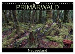 Primärwald - Neuseeland (Wandkalender 2025 DIN A4 quer), CALVENDO Monatskalender