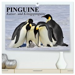 Pinguine - Kaiser- und Königspinguine (hochwertiger Premium Wandkalender 2025 DIN A2 quer), Kunstdruck in Hochglanz