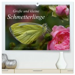 Große und kleine Schmetterlinge (hochwertiger Premium Wandkalender 2025 DIN A2 quer), Kunstdruck in Hochglanz