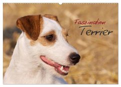 Faszination Terrier (Wandkalender 2025 DIN A2 quer), CALVENDO Monatskalender