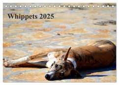 Whippet 2025 (Tischkalender 2025 DIN A5 quer), CALVENDO Monatskalender