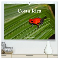 Costa Rica (hochwertiger Premium Wandkalender 2025 DIN A2 quer), Kunstdruck in Hochglanz