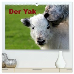 Der Yak (hochwertiger Premium Wandkalender 2025 DIN A2 quer), Kunstdruck in Hochglanz