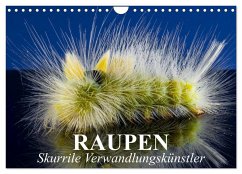 Raupen - Skurrile Verwandlungskünstler (Wandkalender 2025 DIN A4 quer), CALVENDO Monatskalender