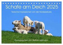 Schafe am Deich 2025. Tierische Impressionen von der Nordseeküste (Tischkalender 2025 DIN A5 quer), CALVENDO Monatskalender - Calvendo;Lehmann, Steffani