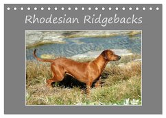 Rhodesian Ridgebacks (Tischkalender 2025 DIN A5 quer), CALVENDO Monatskalender