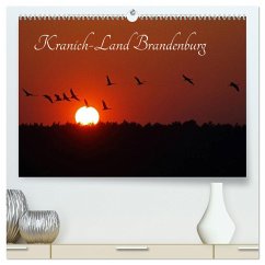 Kranich-Land Brandenburg (hochwertiger Premium Wandkalender 2025 DIN A2 quer), Kunstdruck in Hochglanz - Calvendo;Konieczka, Klaus