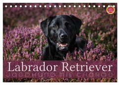 Labrador Retriever - Jagdhund mit Charme (Tischkalender 2025 DIN A5 quer), CALVENDO Monatskalender