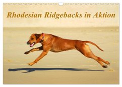 Rhodesian Ridgebacks in Aktion (Wandkalender 2025 DIN A3 quer), CALVENDO Monatskalender